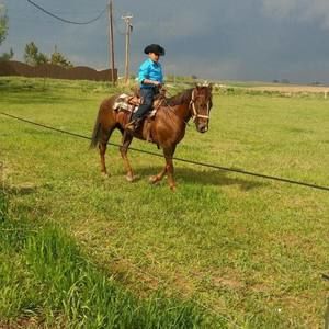 Meet your Posher, Brayan